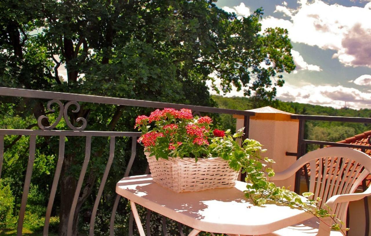 Homestay Komfortowe Samoniowka Naleczow